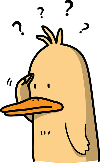 Duck #1